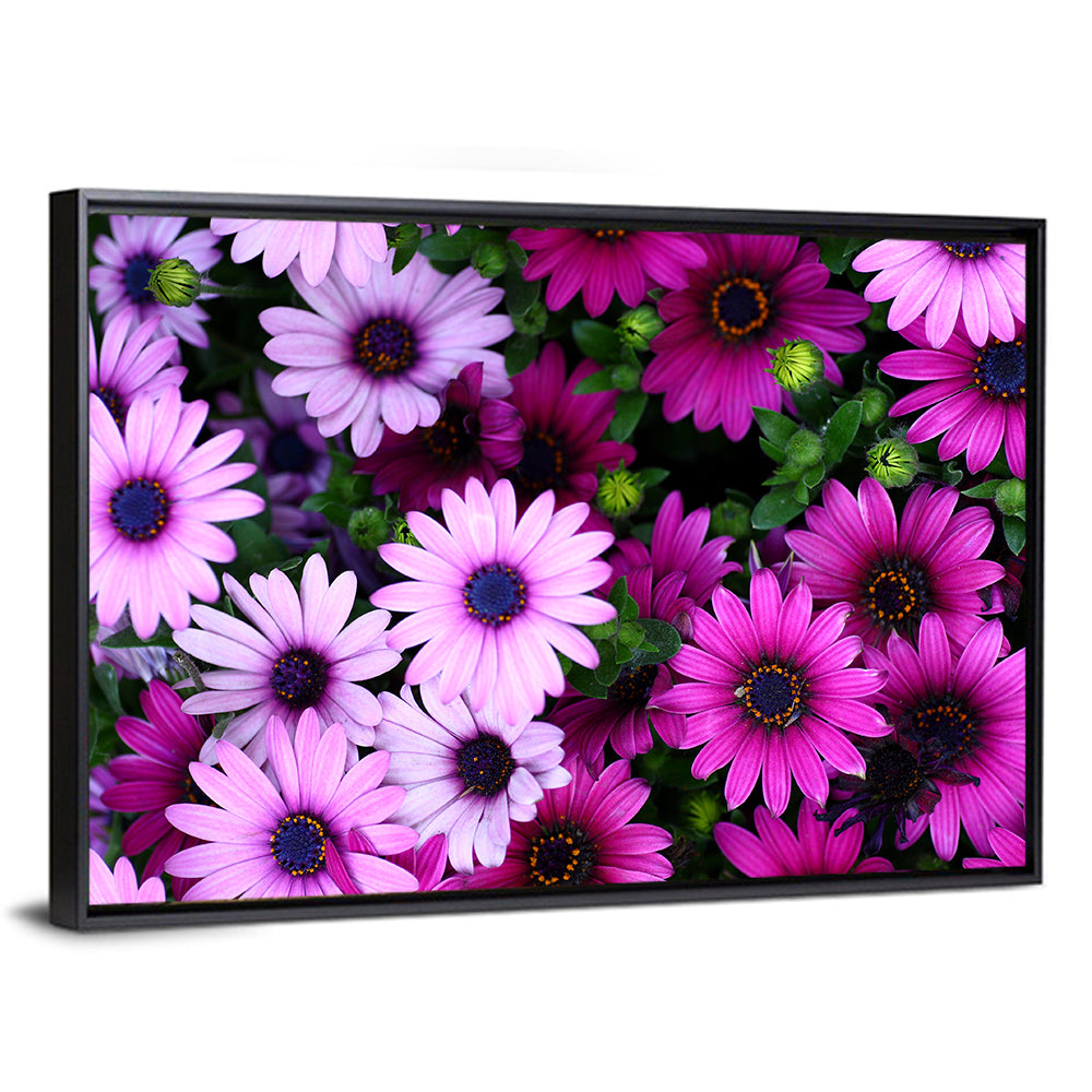 Pink and Purple Daisies Wall Art