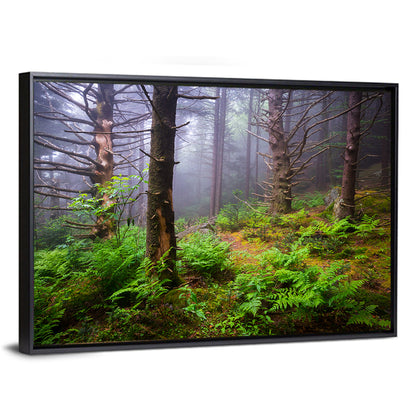 Misty Spruce-fir Trail Wall Art