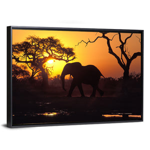 Elephant at Sunset Wall Art