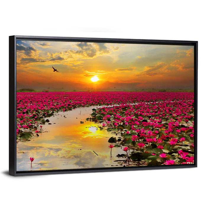 Golden Hour Lotus Field Wall Art as a framed canvas