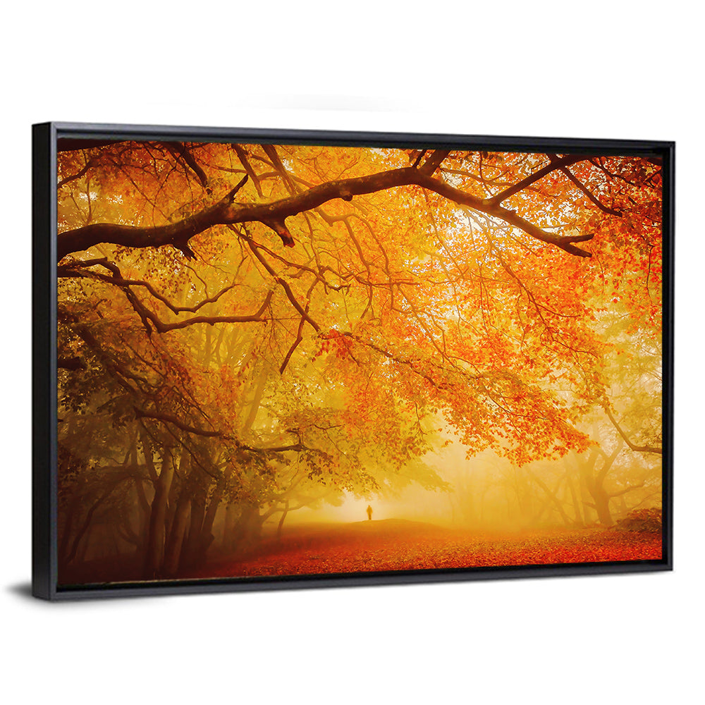 Autumn Forest Path with Lone Figure Wall Art