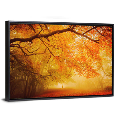 Autumn Forest Path with Lone Figure Wall Art