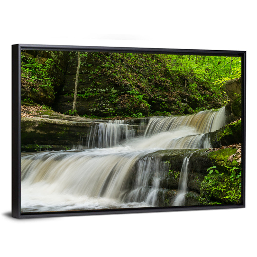 Matthiessen Forest Cascade Wall Art