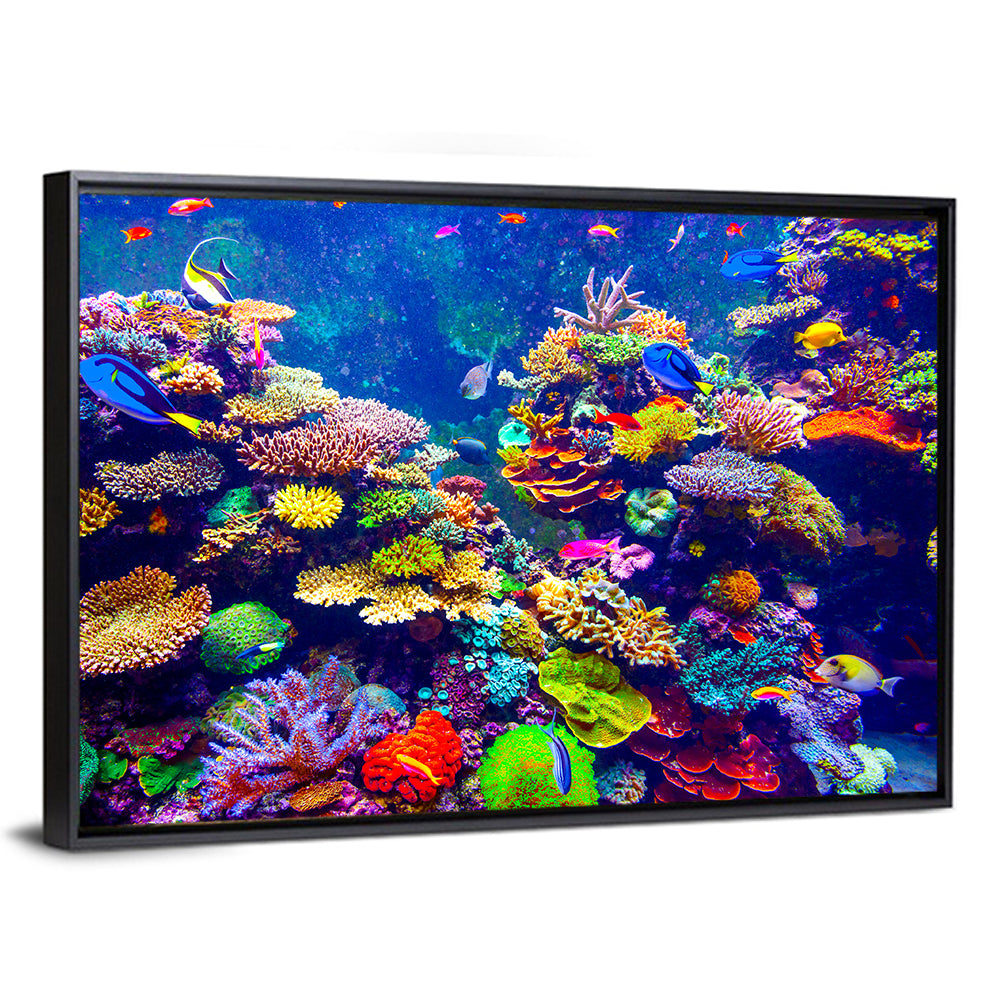 Tropical Coral Reef Aquarium Wall Art