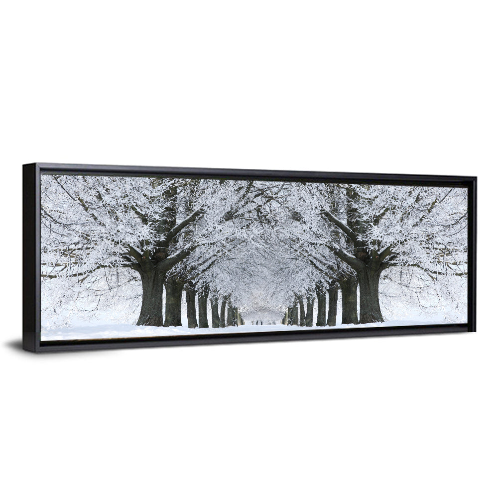 Snow-covered Tree Alley Wall Art