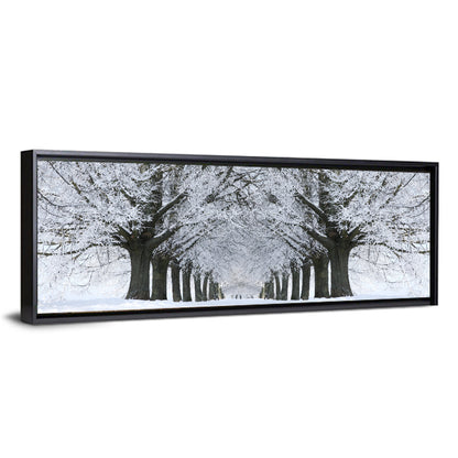 Snow-covered Tree Alley Wall Art