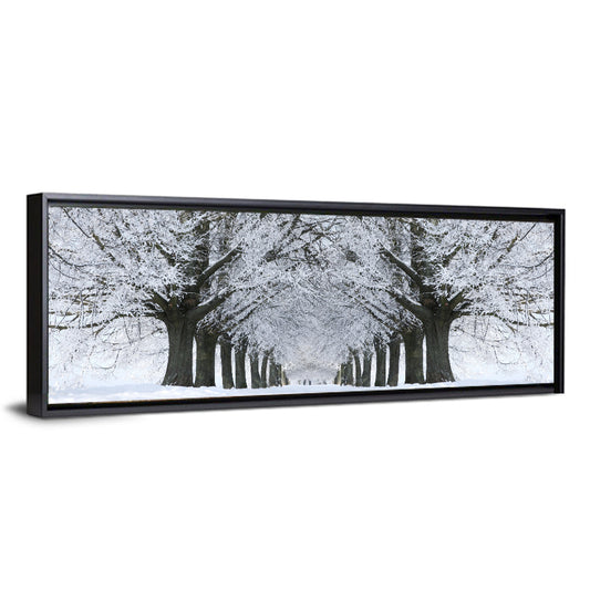 Snow-covered Tree Alley Wall Art