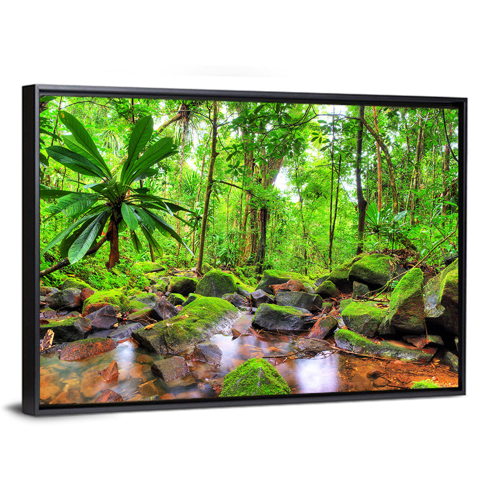 Mossy Rainforest Stream Wall Art