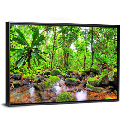 Mossy Rainforest Stream Wall Art