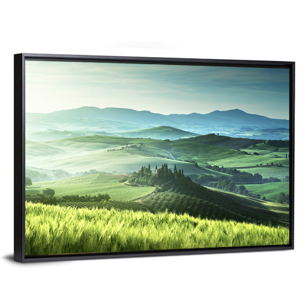 Misty Rolling Hills with Cypresses Wall Art