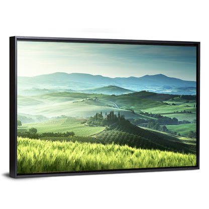 Misty Rolling Hills with Cypresses Wall Art