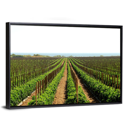 Tomato Fields Wall Art