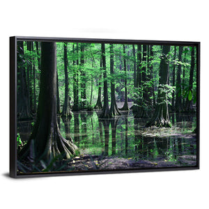 Congaree Swamp Columbia Wall Art