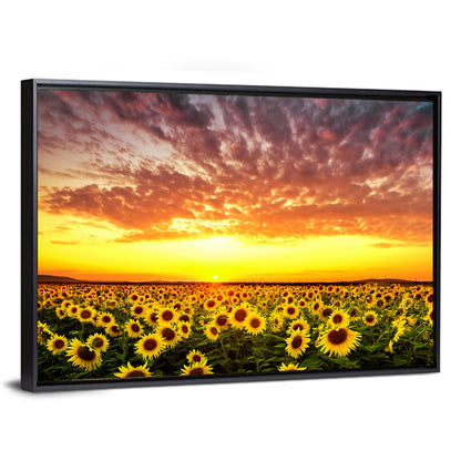 Sunflower Field Sunset Wall Art