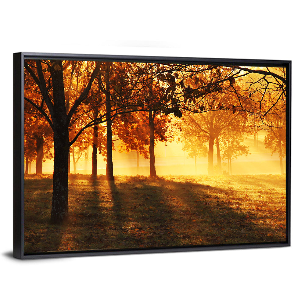 Autumn Sunbeams Through Fog Wall Art