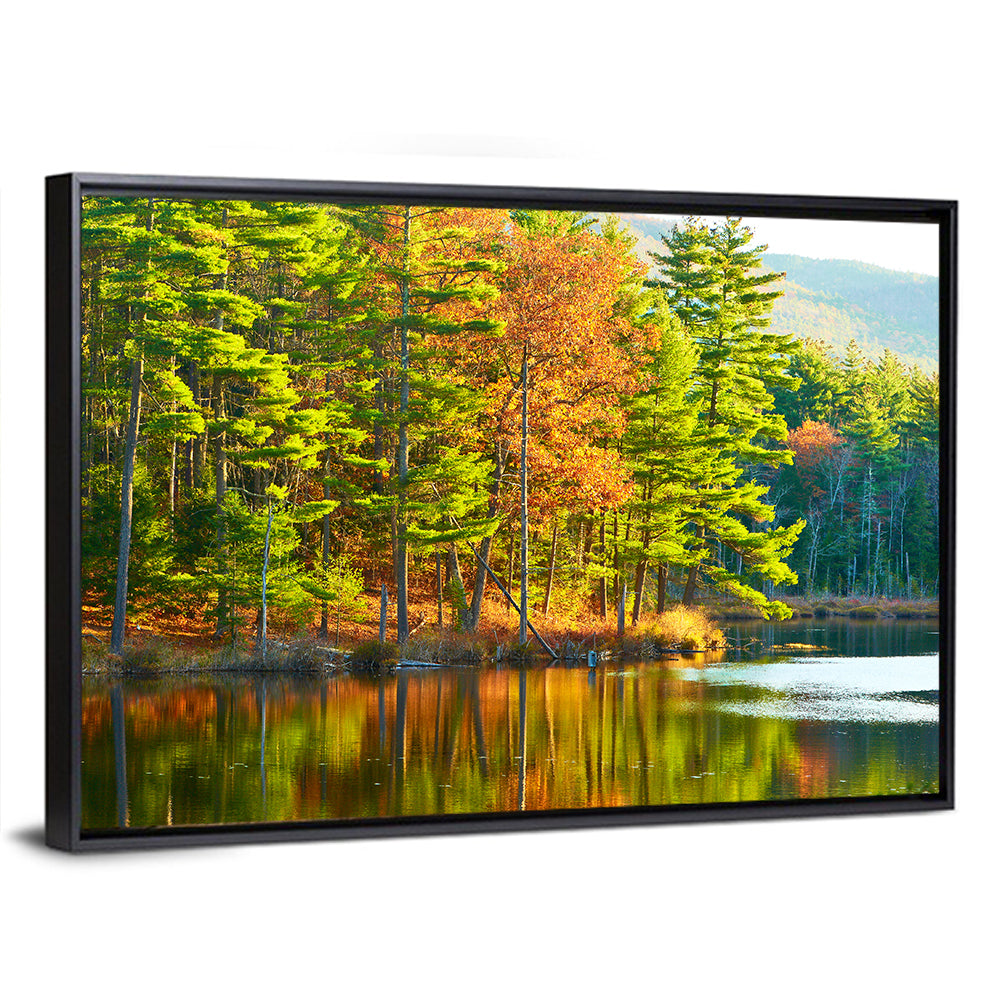 White Mountain National Forest Reflection Wall Art
