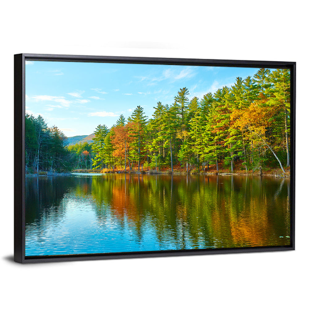 White Mountain Forest Reflections Wall Art