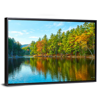 White Mountain Forest Reflections Wall Art