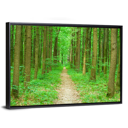 Green Forest Pathway Wall Art