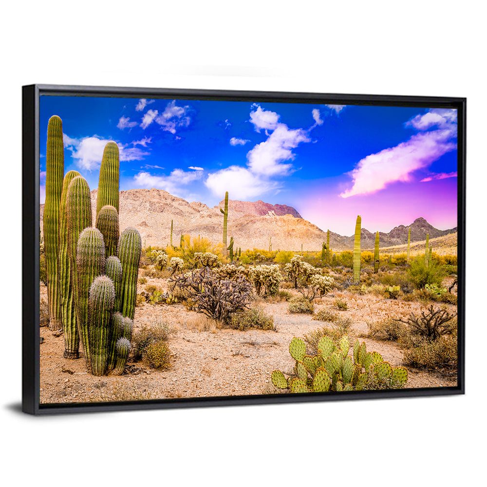 Arizona Saguaro Sunset Wall Art