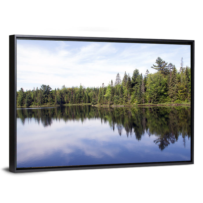 Peck Lake Shoreline Reflection Wall Art as a framed canvas