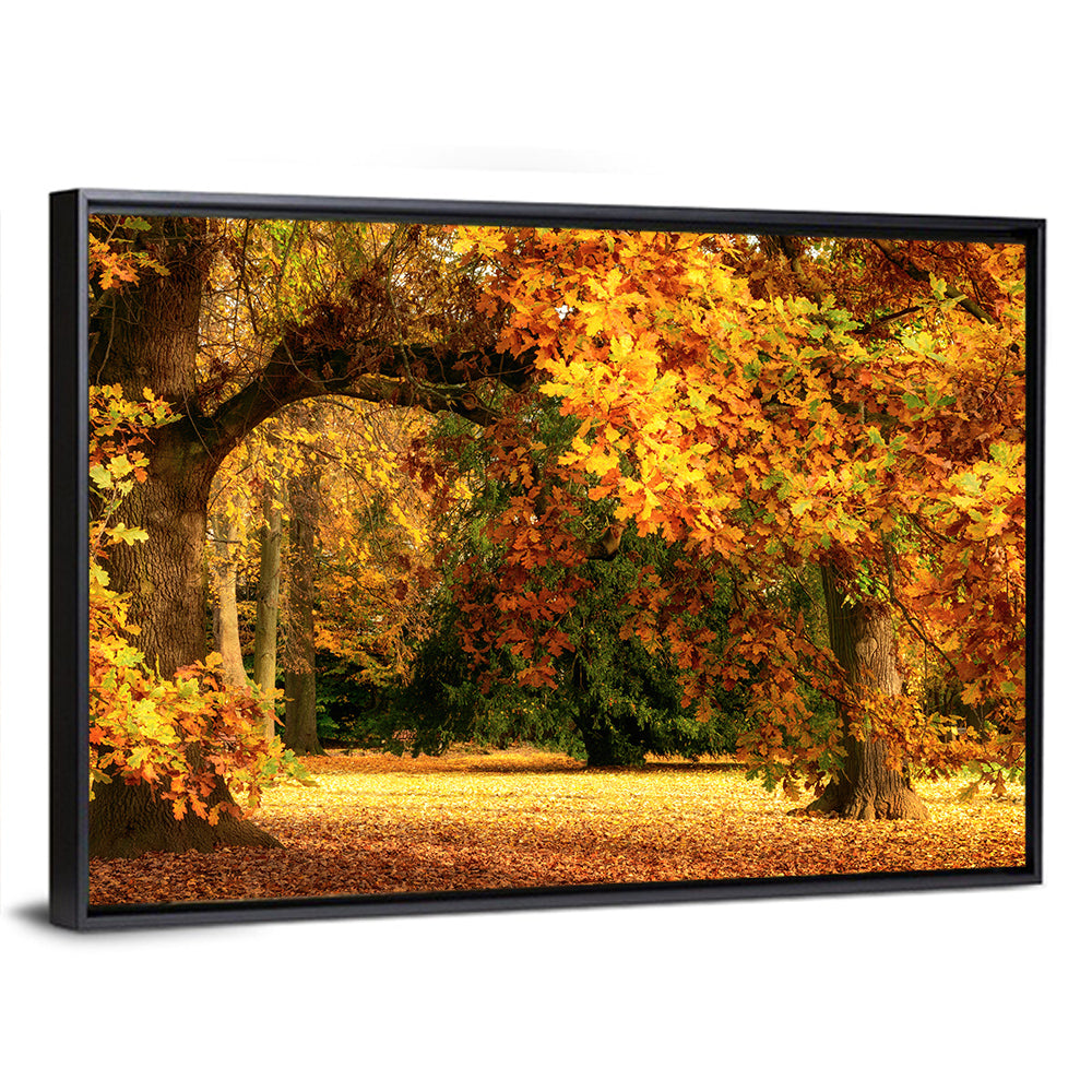 Park Autumn Trees Wall Art