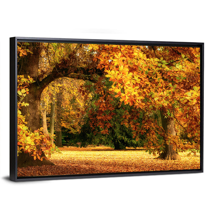 Autumn Park Oaks Wall Art as a framed canvas