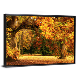 Park Autumn Trees Wall Art