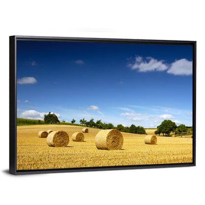 Late Summer Straw Bales Wall Art