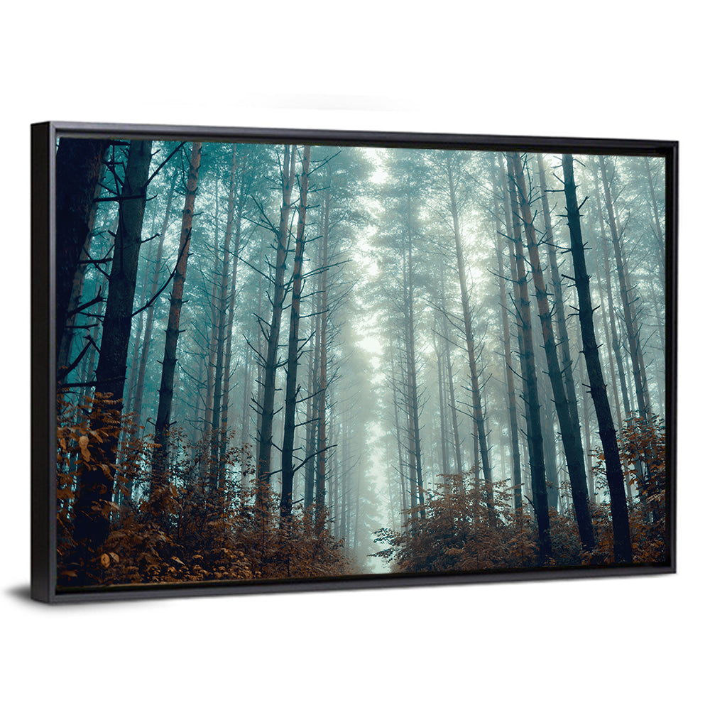 Misty Pine Forest Wall Art