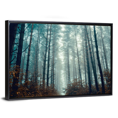 Misty Pine Forest Wall Art