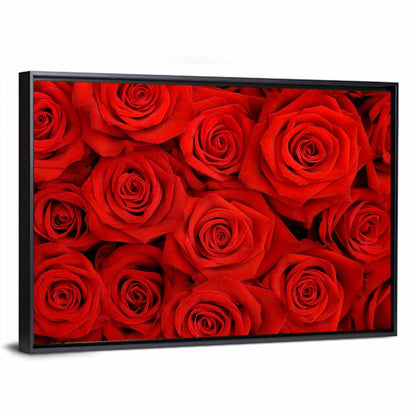 Red Roses Close Up Wall Art