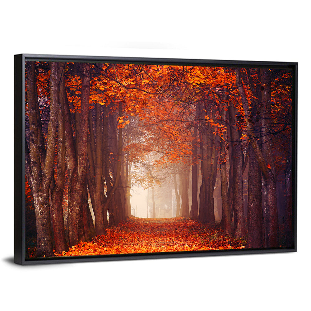 Misty Autumn Forest Path Wall Art