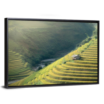 Golden Rice Terraces Wall Art