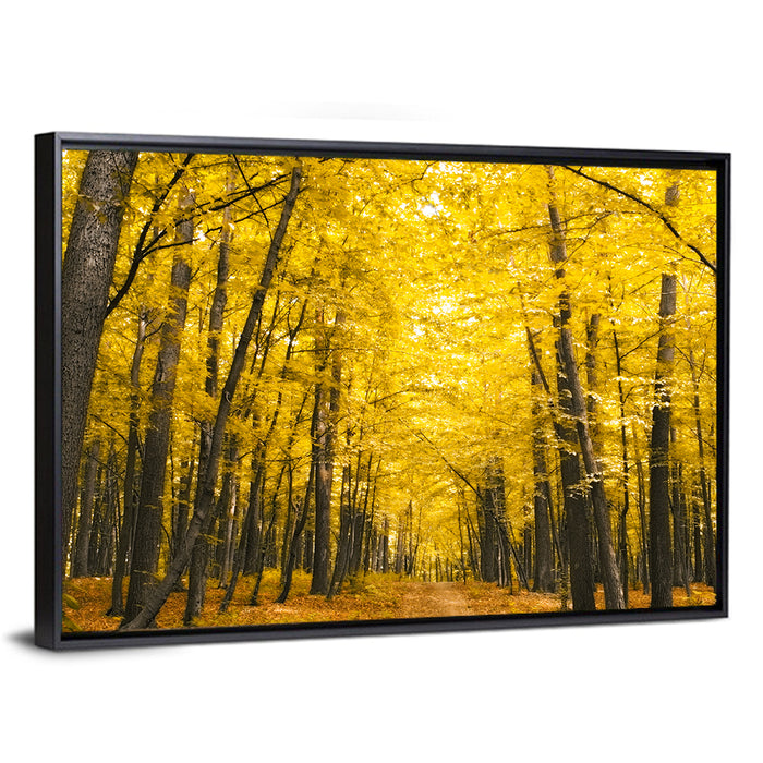 Yellow Autumn Forest Path Wall Art as a framed canvas