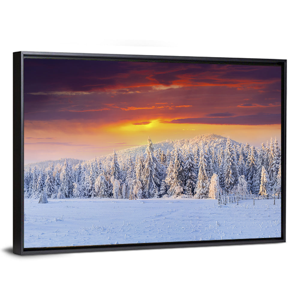 Snowy Forest Sunset Wall Art