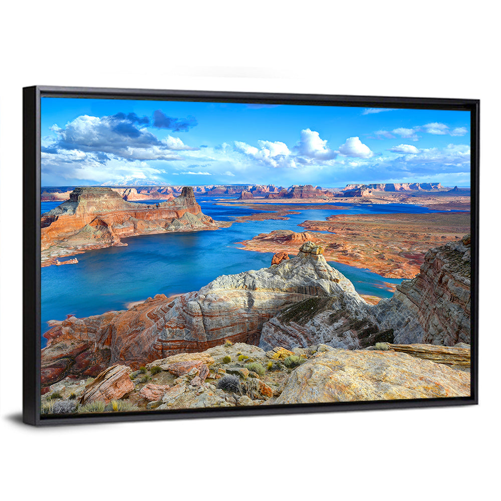 Alstrom Point Arizona Wall Art