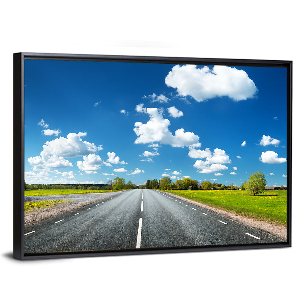 Asphalt Road Through Meadow Wall Art