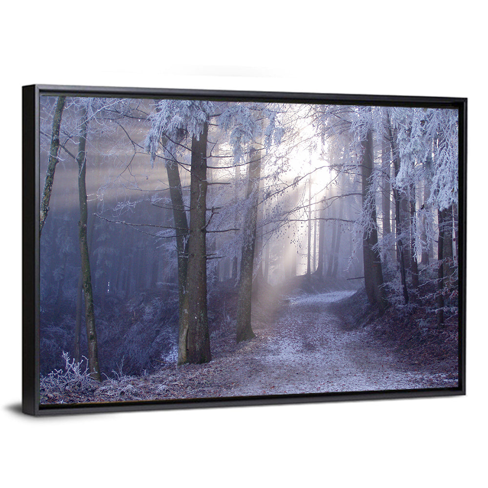 Frosted Forest Path at Dawn Wall Art