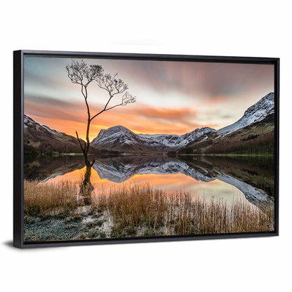 Lonesome Pine, Ullswater Sunrise Wall Art