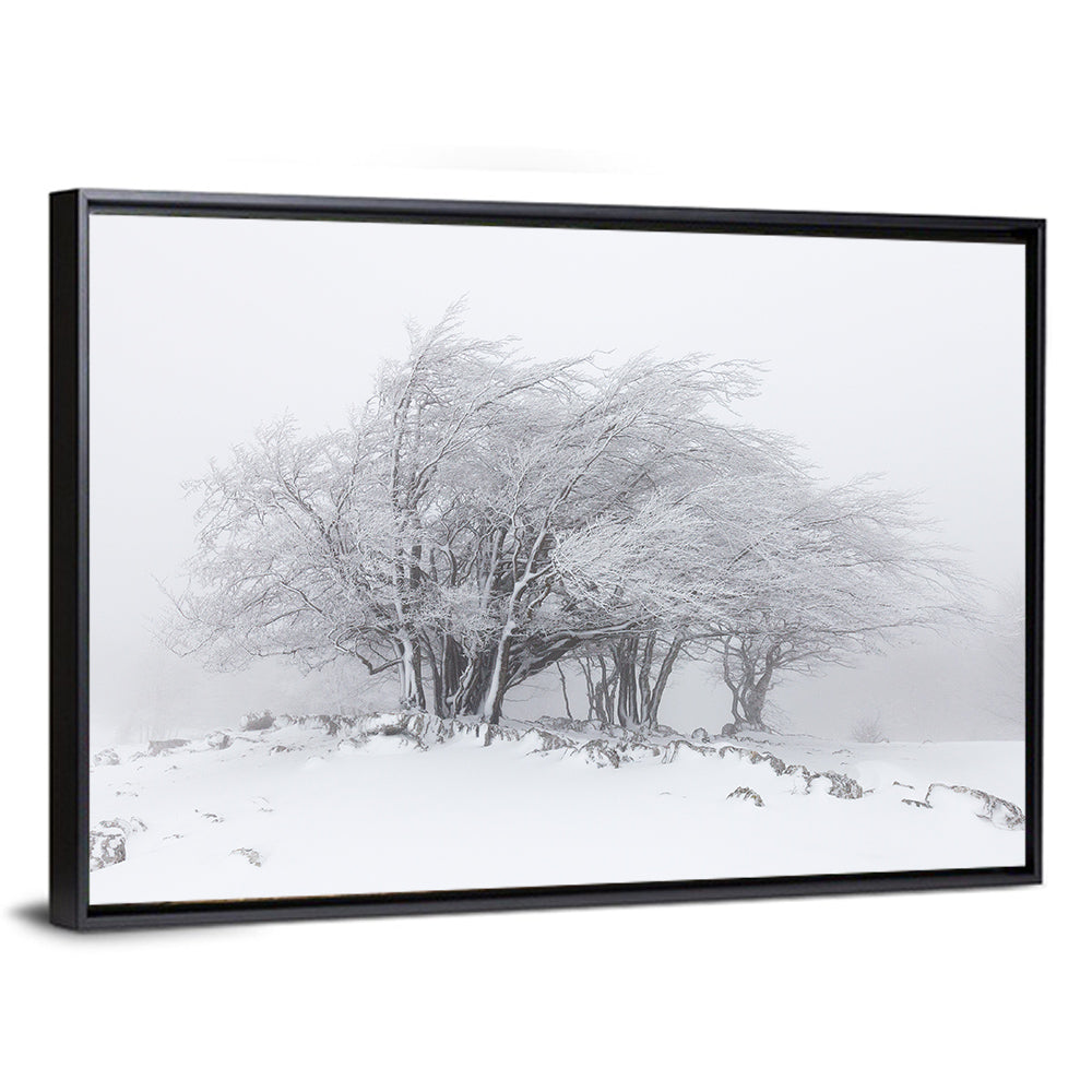 Rime Coated Winter Trees Wall Art