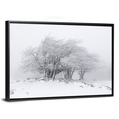 Rime Coated Winter Trees Wall Art