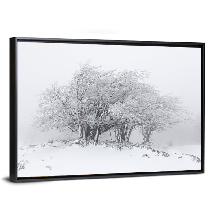 Rime Coated Winter Trees Wall Art as a framed canvas