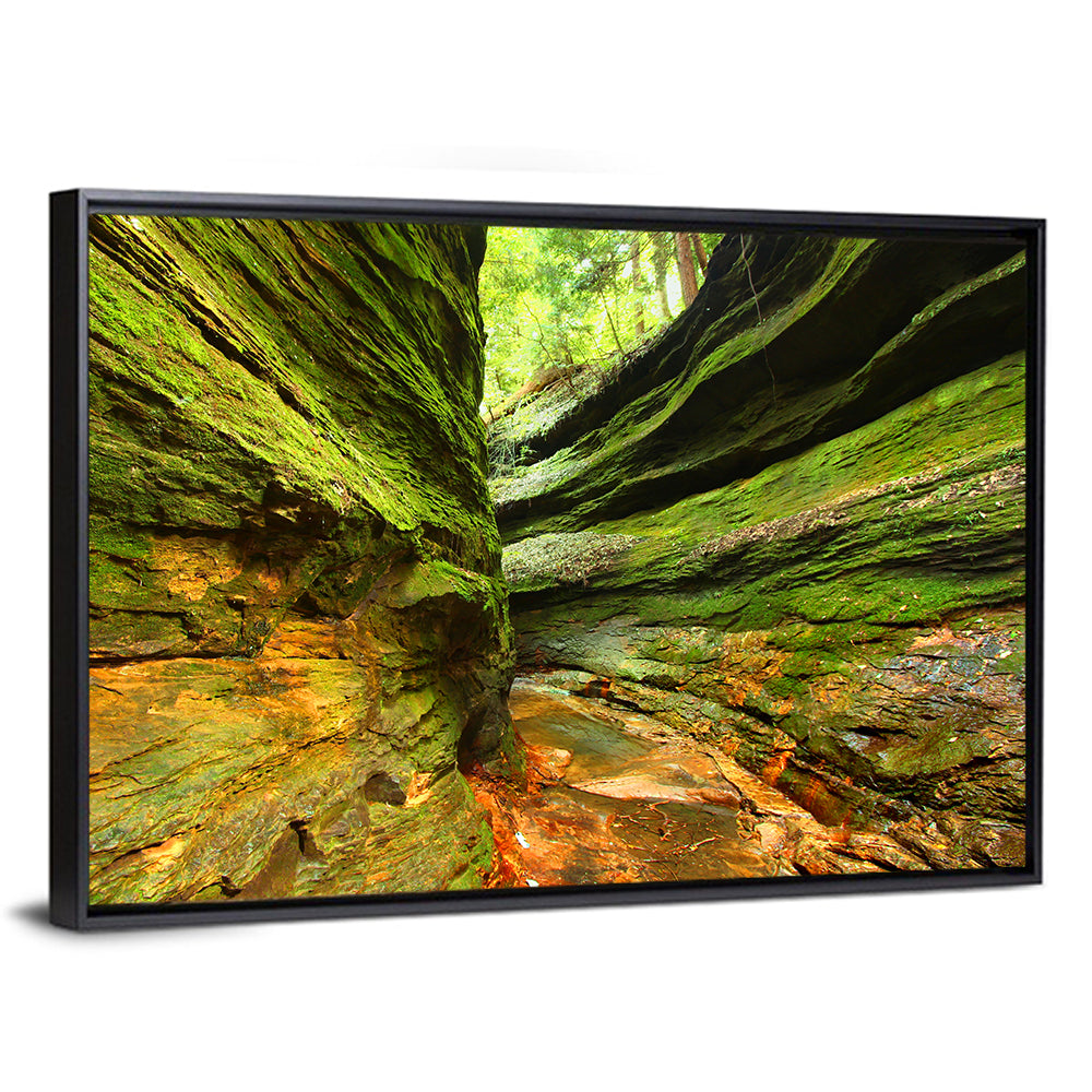 Turkey Run State Park Canyon Wall Art