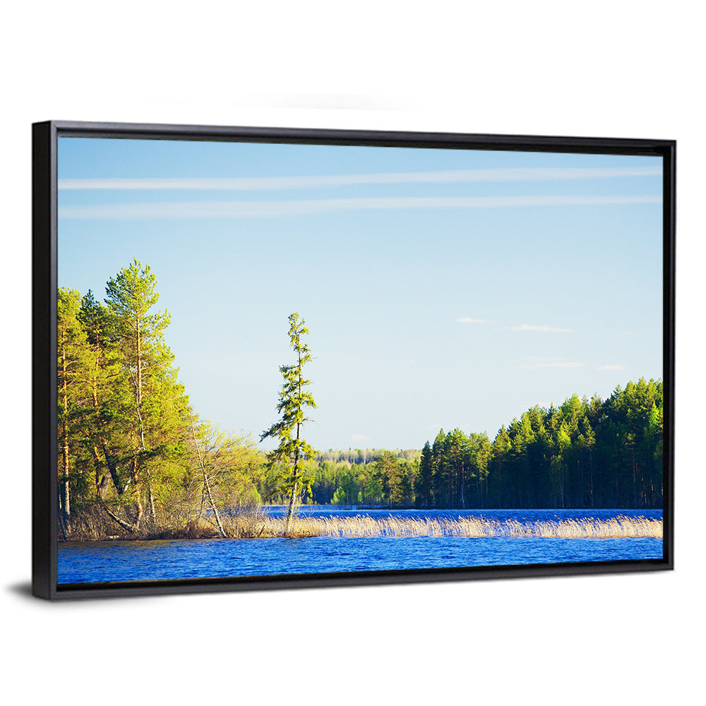 Summer Forest Lake Shoreline Wall Art