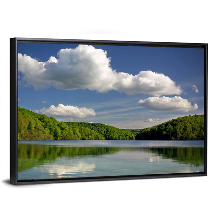 Plitvice Forest Lake Scene Wall Art as a framed canvas