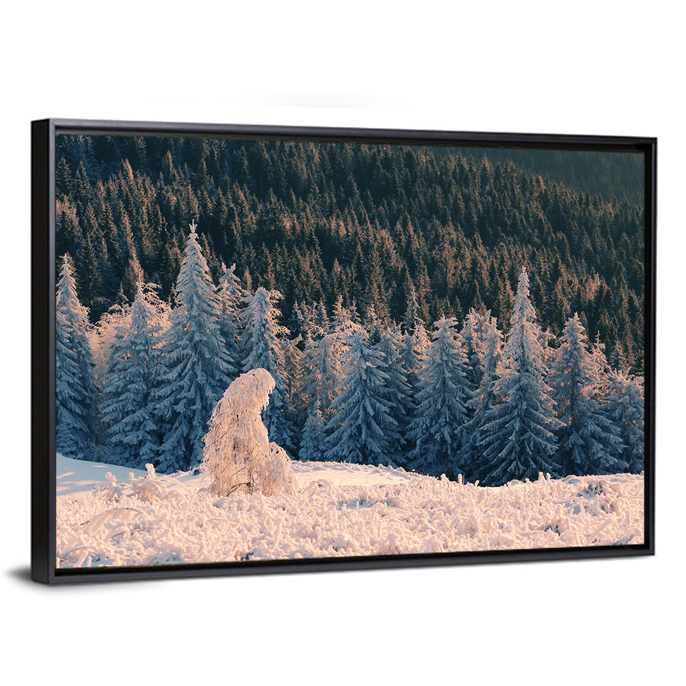 Carpathian Forest at Golden Hour Wall Art