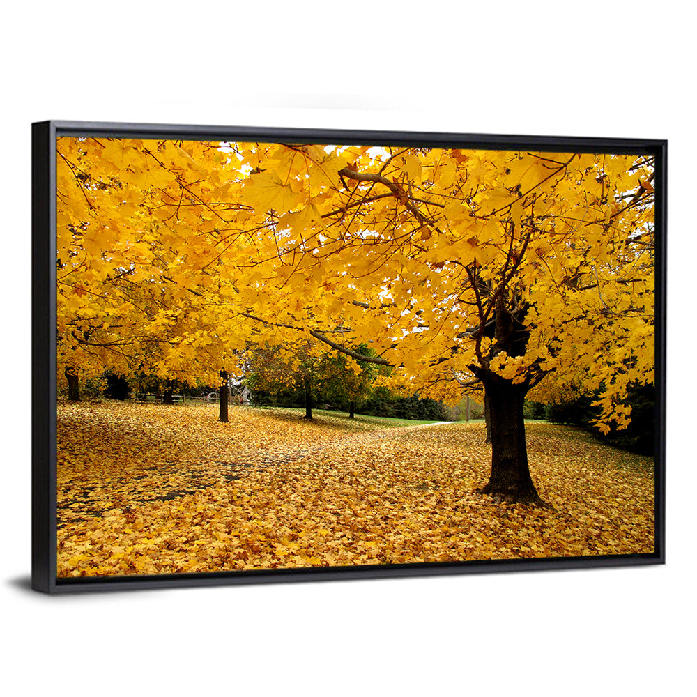Baltimore Autumn Foliage Wall Art