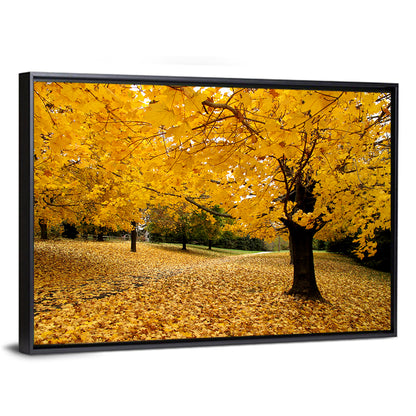 Baltimore Autumn Foliage Wall Art