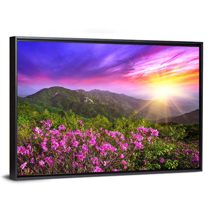 Hwangmaesan Mountain Sunset Wall Art as a framed canvas